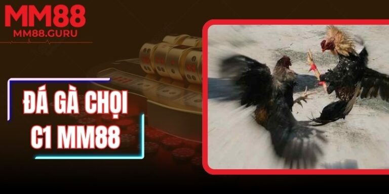 Đá Gà Chọi C1 MM88 – Đấu Gà Đòn Đỉnh Cao Cho Tín Đồ Gà Nòi
