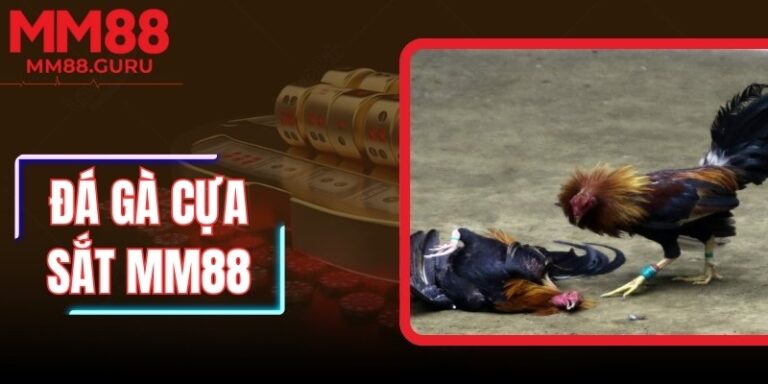 Đá Gà Cựa Sắt MM88 – Trải Nghiệm Kèo Cược Linh Hoạt