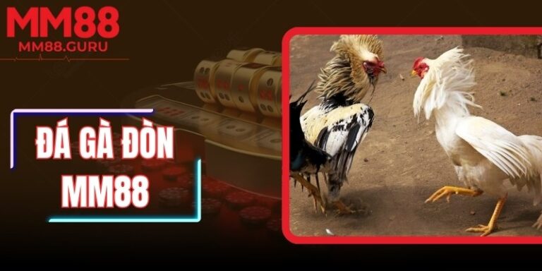 Đá Gà Đòn MM88 – Sự Kết Hợp Giữa Truyền Thống Và Công Nghệ