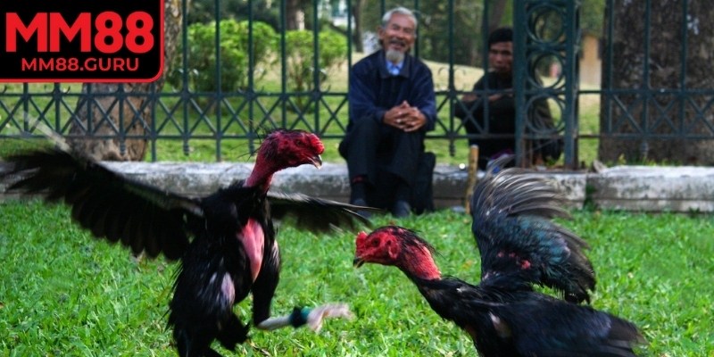 Điểm số được tính dựa trên kỹ thuật trong từng pha tấn công