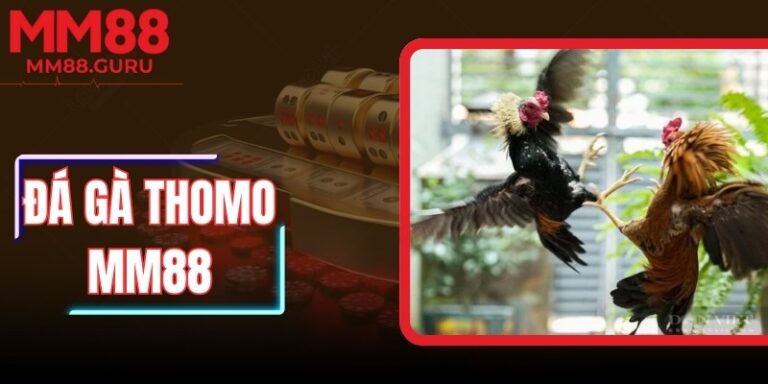 Đá Gà Thomo MM88 – Sân Chơi Thượng Hạng Cho Mọi Kê Thủ 