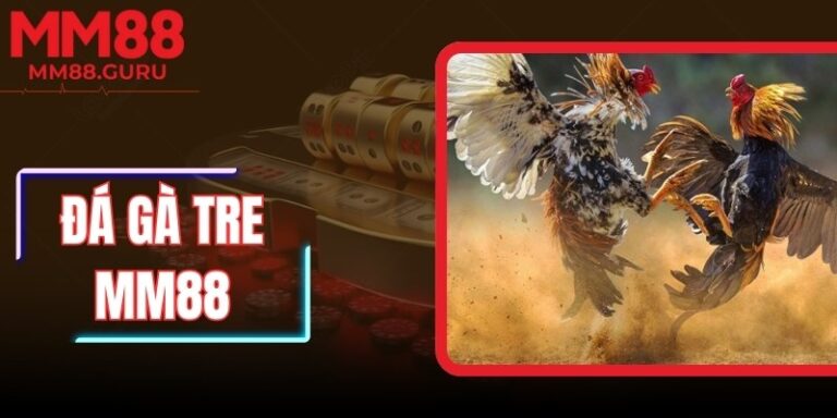 Đá Gà Tre MM88: Sới Đấu Sắc Nét, Cuộc Chiến Nhanh Và Hồi Hộp