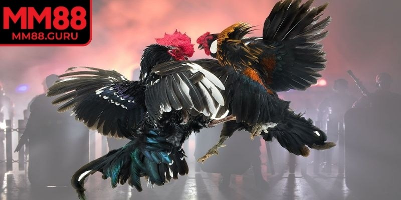 Minh bạch tuyệt đối, rõ ràng từng khoảnh khắc