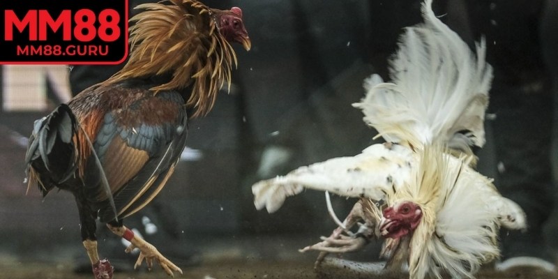 Tạo tài khoản ngay hôm nay để có trải nghiệm tuyệt vời