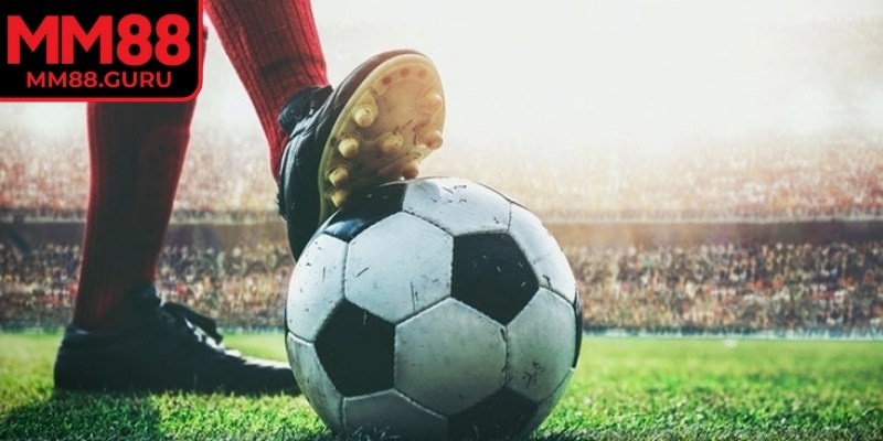 Kèo Rung MM88 – Bí Quyết Theo Dõi Tỷ Lệ Trực Tiếp Hiệu Quả 2 Đa dạng các lựa chọn trong kèo rung