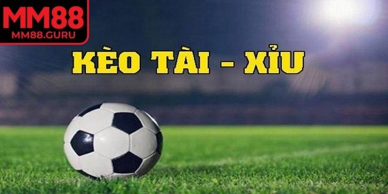 Chia nhỏ số vốn để tham gia lâu dài