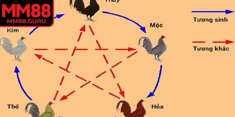 Màu mạng đá gà theo ngày MM88 chuẩn phong thủy ngũ hành